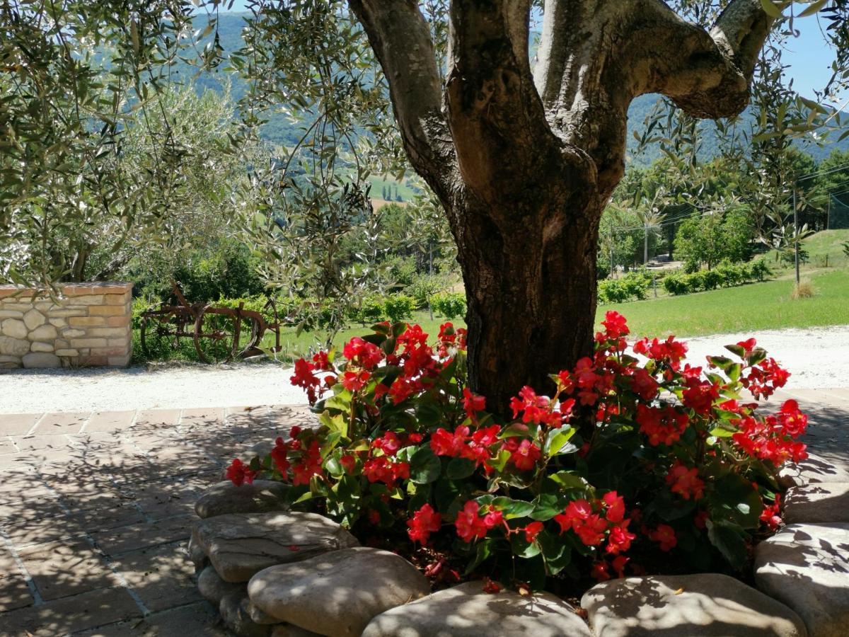 Agriturismo Sole Luna Piano Delle Pieve ภายนอก รูปภาพ