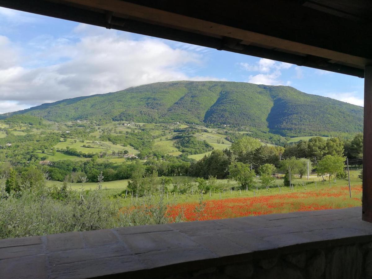 Agriturismo Sole Luna Piano Delle Pieve ภายนอก รูปภาพ
